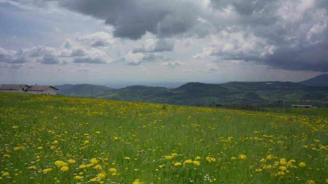 Green Meadow with Yellow Flowers and Cloudy Mountains &ndash; Scenic Lessinia