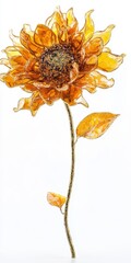 Golden Sunflower with Detailed Petals on White Background