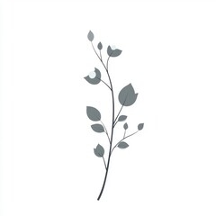Grayscale Branch with Delicate Leaves and Buds on White Background