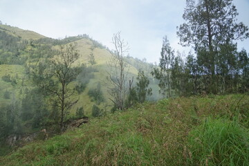 Misty mountain landscape lush green hills nature photography tranquil environment wide-angle view serenity in nature