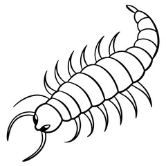 Elegant Centipede One-Line Drawing
