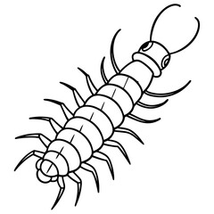 Elegant Centipede One-Line Drawing