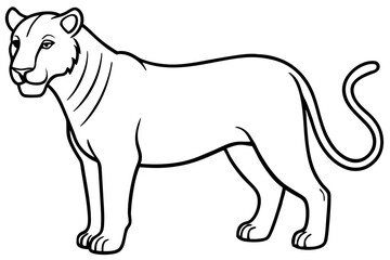 Elegant Liger Sketch