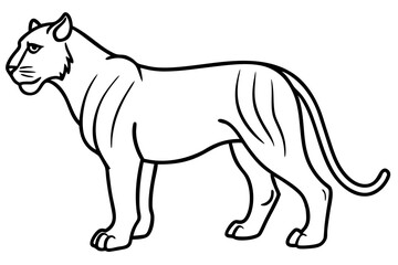 Elegant Liger Sketch