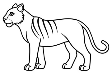 Elegant Liger Sketch