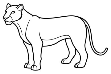 Elegant Liger Sketch