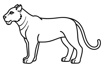Elegant Liger Sketch
