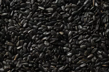 Fotobehang Sunflower seeds, concept of harvest, tasty snack © Atlas