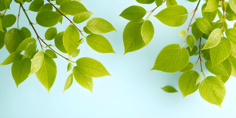 Gentle green leaves framing a pale blue background with light industry line art