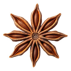 Detailed macro photography of an eight-pointed star anise seed against black background