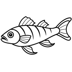 Elegant Lanternfish Vector Line Drawing