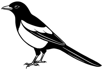 Elegant Magpie Line Art