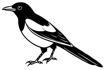 Elegant Magpie Line Art