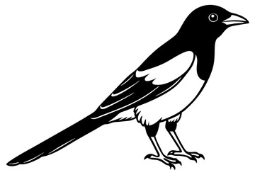 Elegant Magpie Line Art