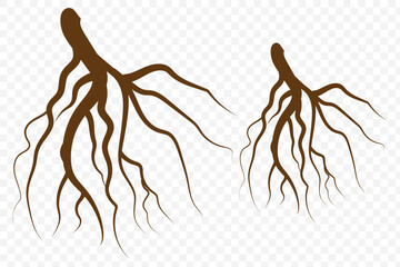 Root logo icon design vector. Root of the tree. Brown silhouette. Vector illustration on Transparent Background. EPS 10.