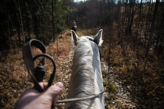 Riding Through Autumn Forest on a White Horse