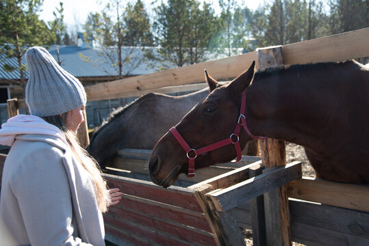Woman Interacting with Horse in Outdoor Paddock