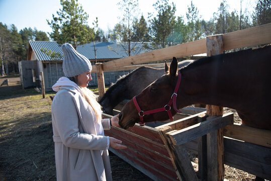 Woman Interacting with Horse in Outdoor Paddock