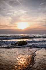 Stone with seaweed during sunset at Whistling Sands. Rock