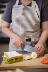 Focused chef carefully a gourmet sandwich