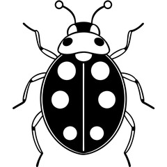 Elegant Ladybug Outline Illustration