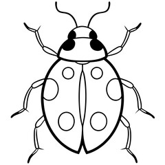 Elegant Ladybug Outline Illustration
