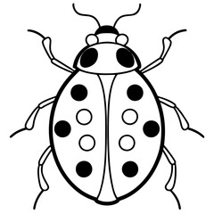 Elegant Ladybug Outline Illustration