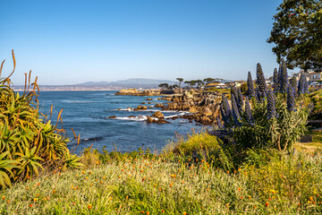 View of the Pacific Ocean, Lovers Point Park, Monterey