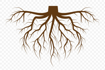 Tree root icon set. Tree root silhouette set on Transparent Background. EPS 10.
