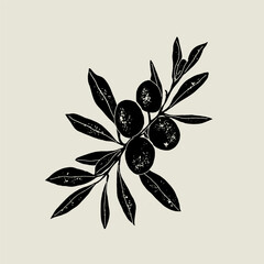 Olive branch linocut vector illustration with grunge texture. Monochrome linear woodcut illustration.	
