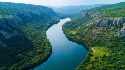 River and green forest in Tuchola natural park, aerial view