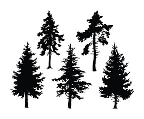 Modern Hemlock Tree Silhouette EPS Vector Template