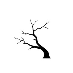 Silhouette of a Bare Twisted Tree