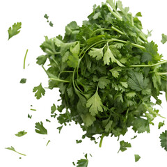 Obraz premium Chopped parsley isolated on transparent background