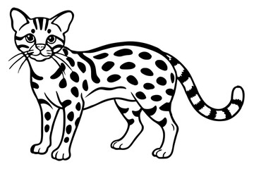 Elegant Margay Sketch