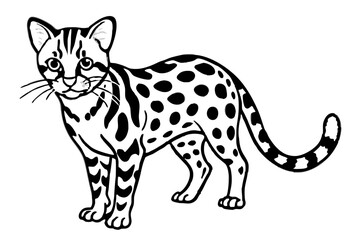 Elegant Margay Sketch