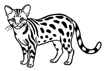  Elegant Margay Sketch