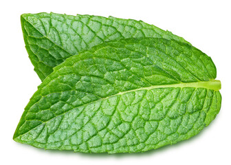 Mint isolated on white background clipping path