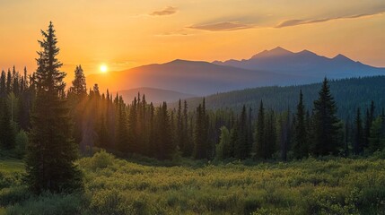 Majestic sunrise over golden mountains and lush evergreen forest landscape sky fir view calm pine