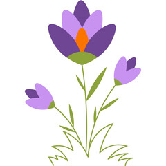 Spring Flowers Illustration