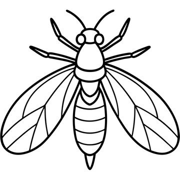 black and white insect drawing clip art preview