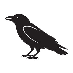 Crow bird Vector Black silhouettes, Simple Design vector icon with white background