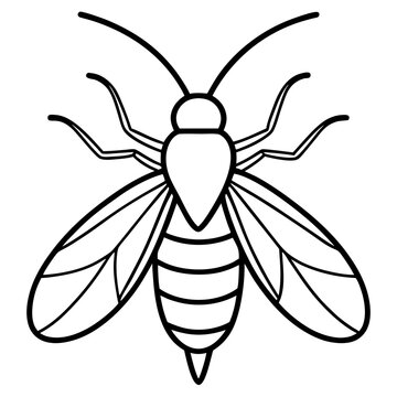 black and white wasp outline clip art preview