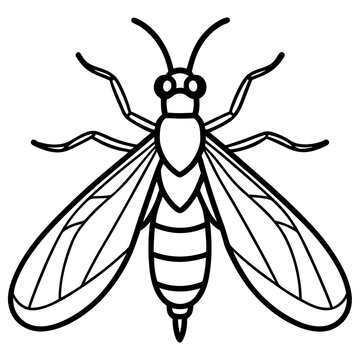 black and white insect outline clip art preview