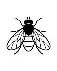 black and white fly