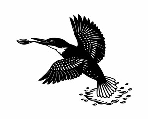 silhouette fingerish on water of sky 