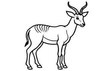 Obraz premium Elegant Markhor Line Art
