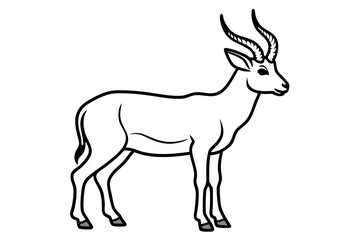 Elegant Markhor Line Art