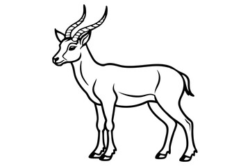 Elegant Markhor Line Art