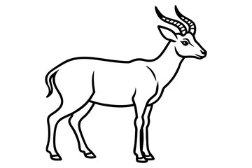 Elegant Markhor Line Art